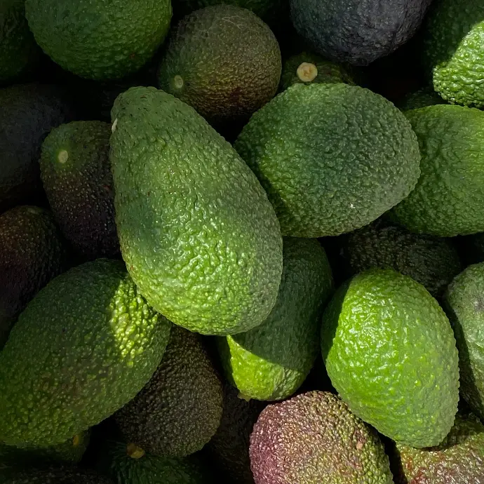 frutos redondos verdes y morados