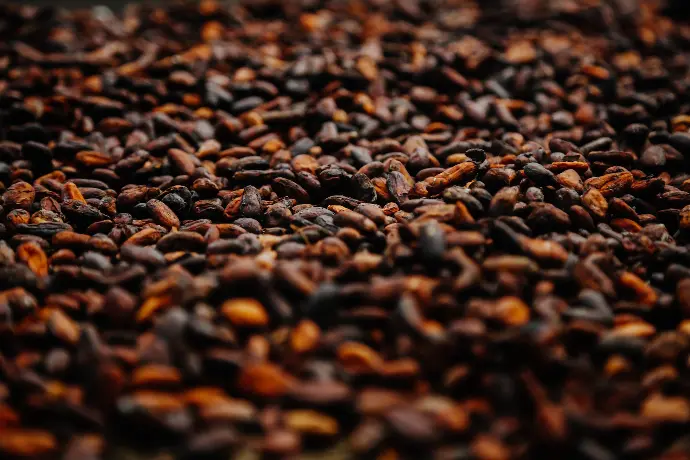 granos de café marrones y negros