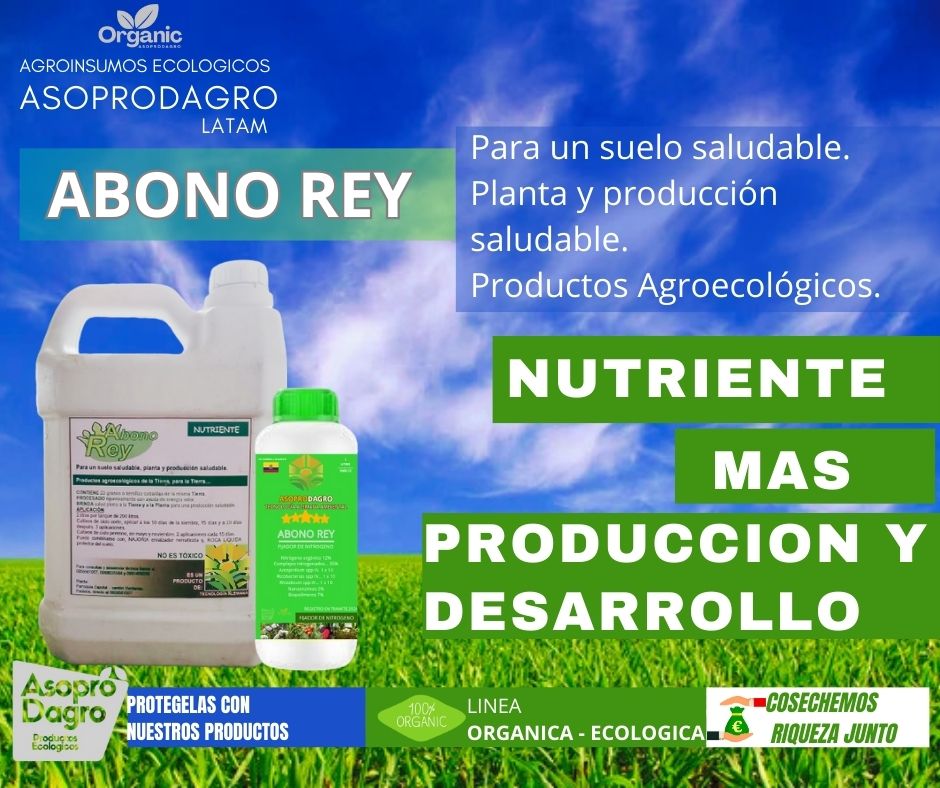 ABONO REY GALON 4LT