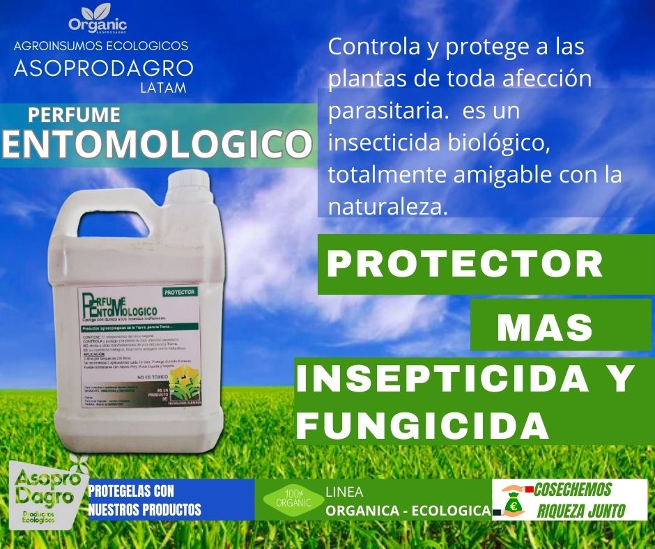 PERFUME ENTOMOLOGICO