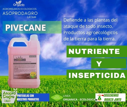 PIVECANE GALON DE 4LT