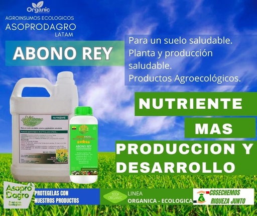 ABONO REY GALON 4LT