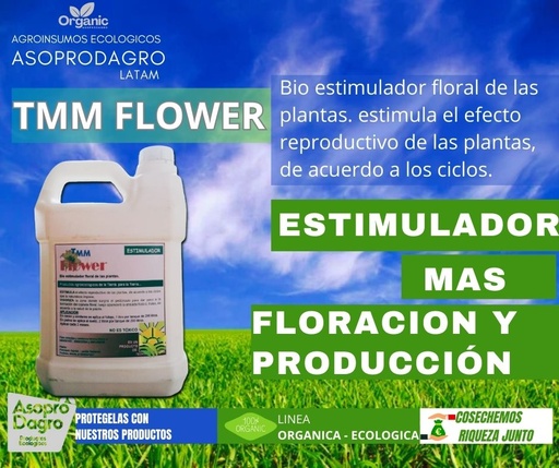 TMM FLOWER GALON 4LT
